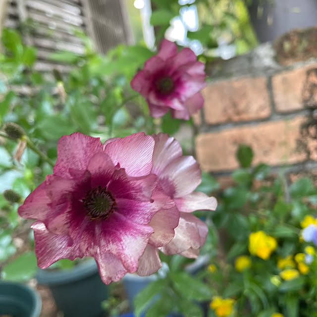 natsumiさんの実例写真