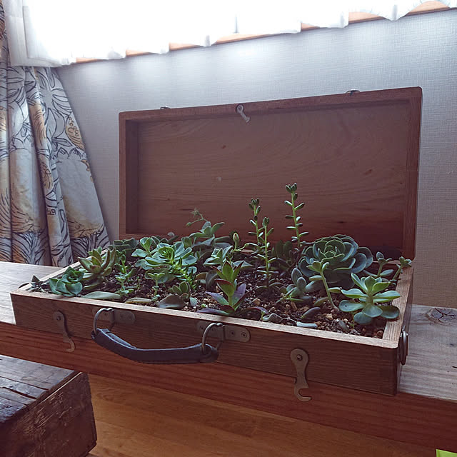 botanさんの実例写真