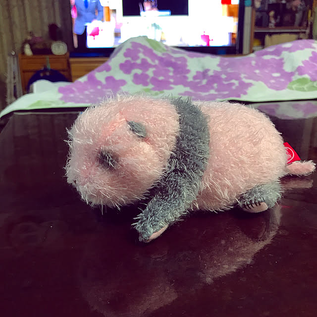 toggyさんの実例写真