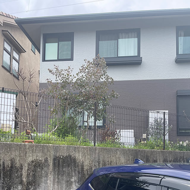 kikiさんの実例写真