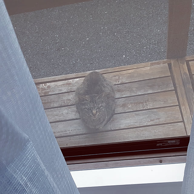 emuさんの実例写真