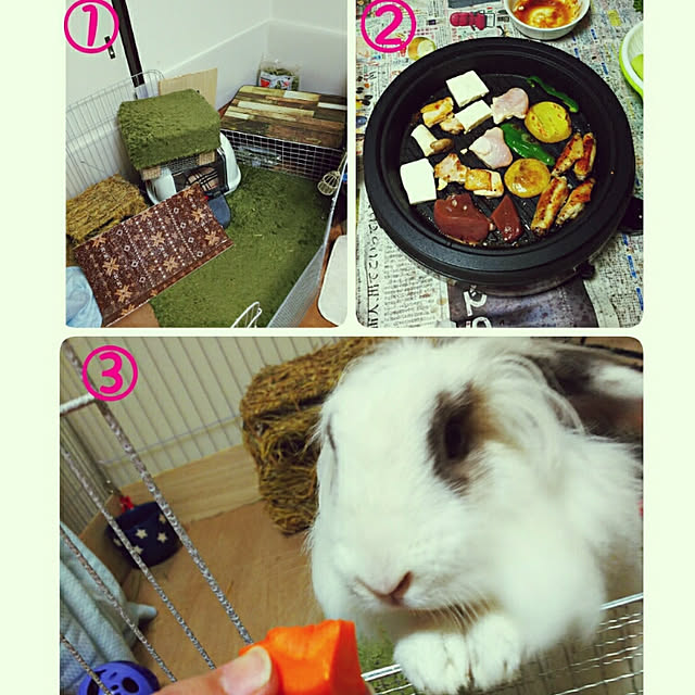 WASABIさんの実例写真