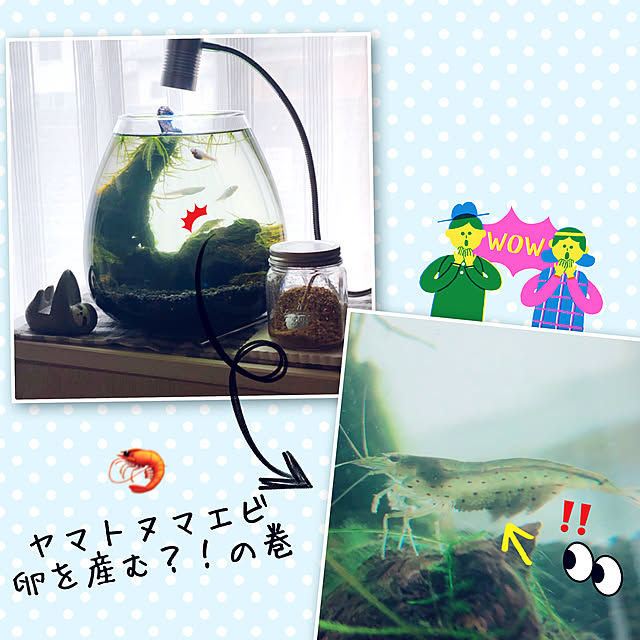 mangoさんの実例写真
