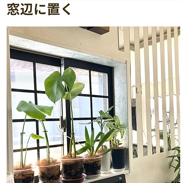 MOMOMAMAさんの部屋