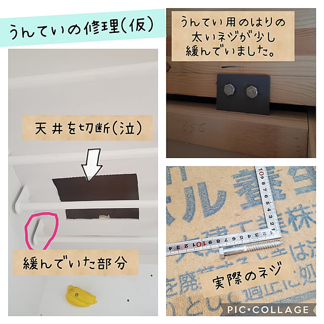 tomatopapaさんの実例写真
