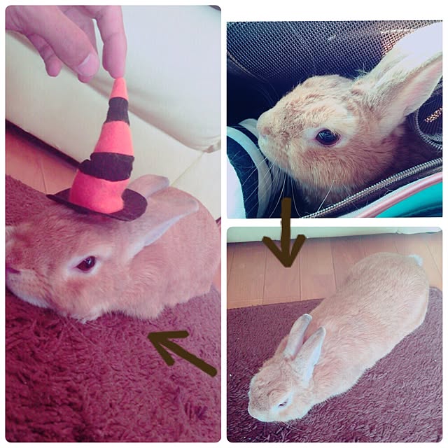 M-chon5さんの実例写真