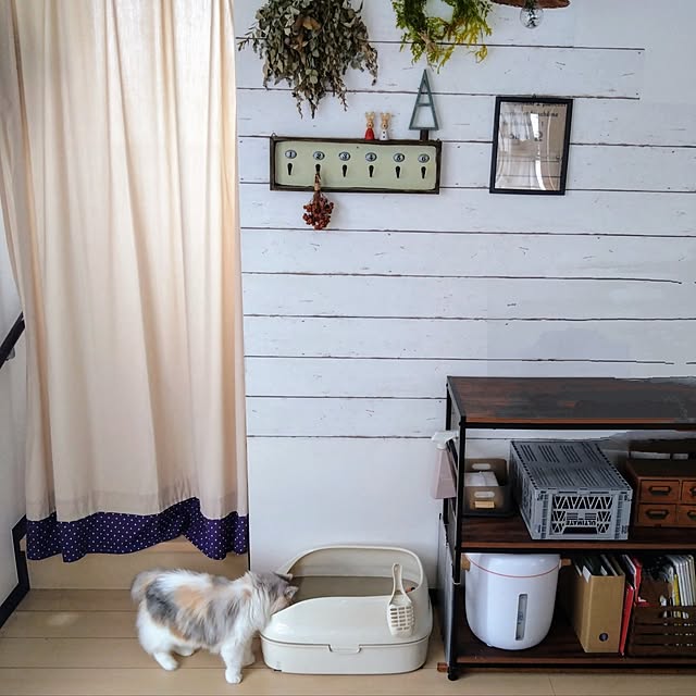 hiromi0302さんの実例写真