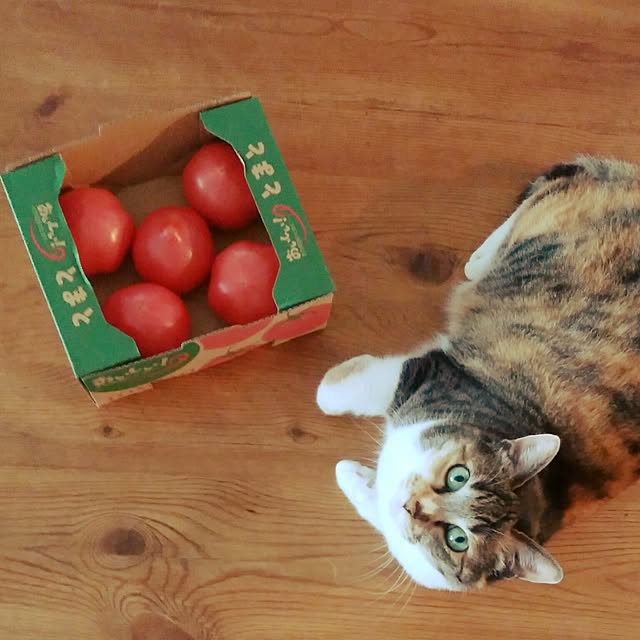 tomo1220さんの実例写真