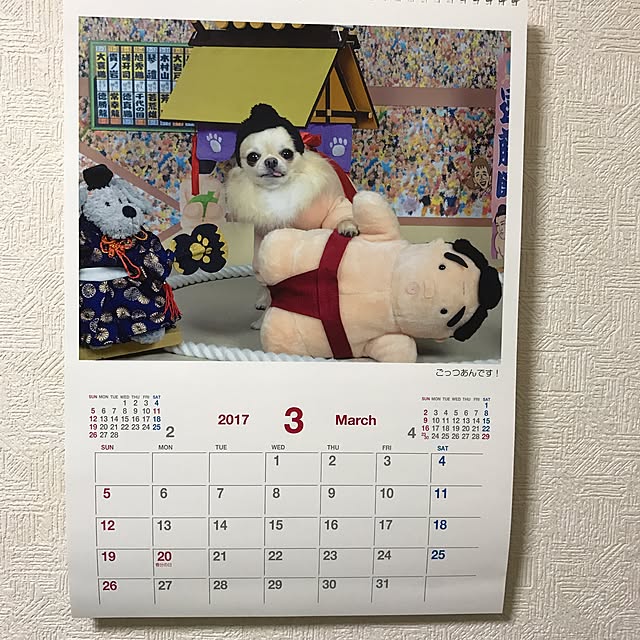 rosemaryさんの実例写真