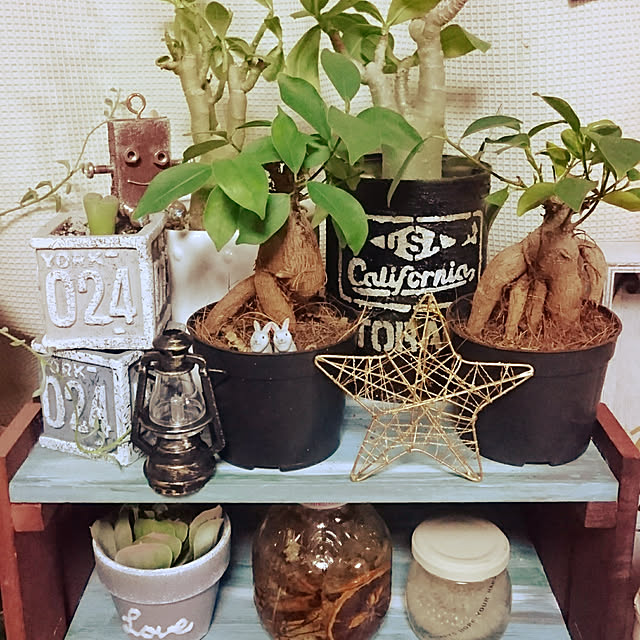 2menmamaさんの実例写真