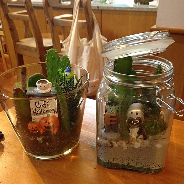 棚/観葉植物/多肉植物のインテリア実例 - 2016-09-25 14:57:11