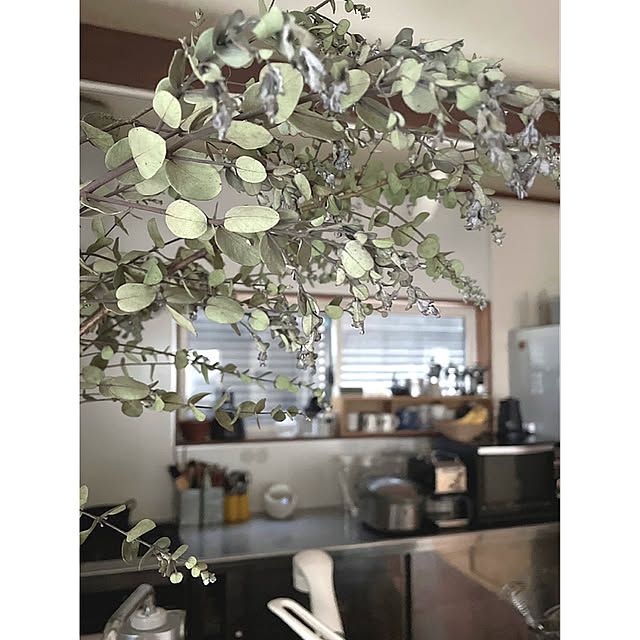 mionakiseさんの実例写真