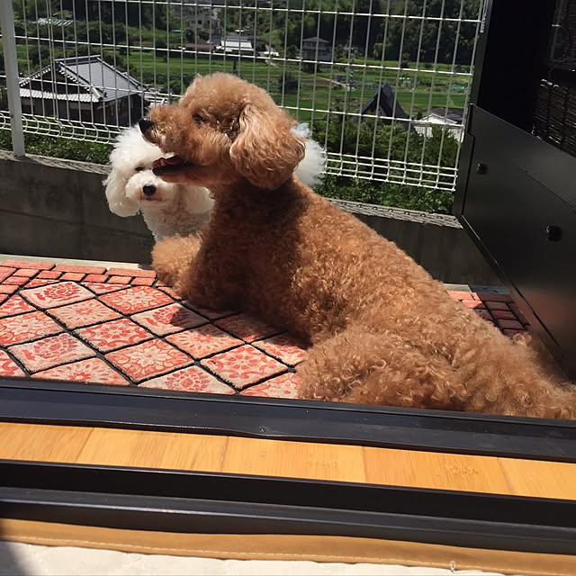 rinoさんの実例写真
