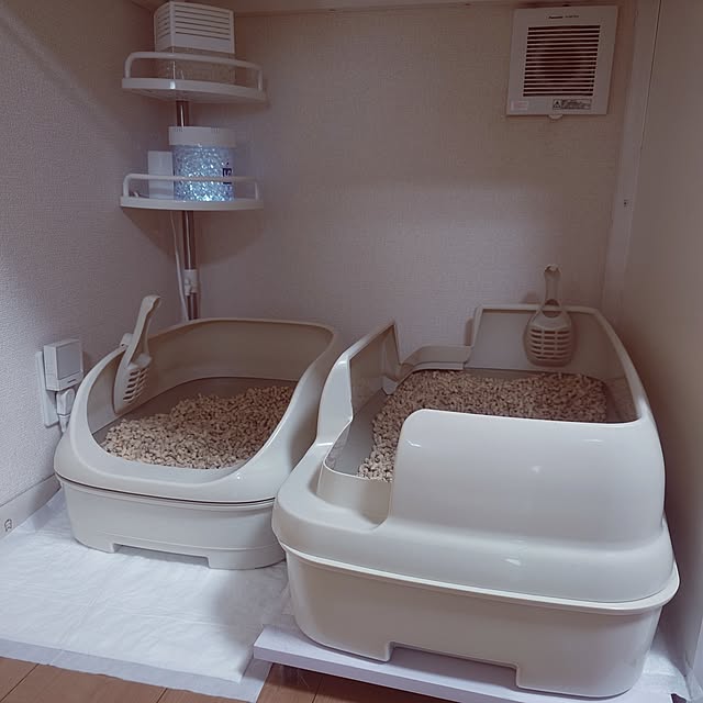 noguriさんの部屋