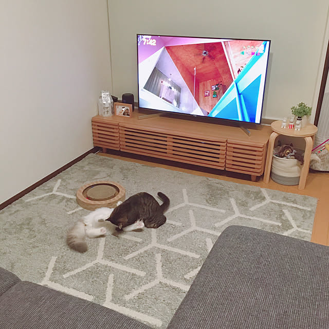 anさんの実例写真