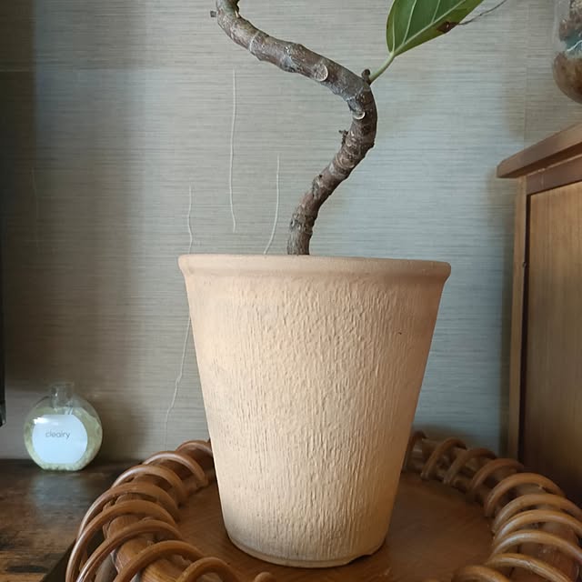 Yoko622さんの実例写真