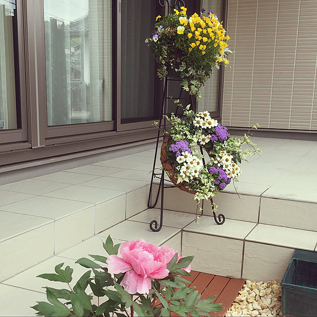 ナチュラル/観葉植物/庭/玄関/入り口のインテリア実例 - 2020-05-16 10:48:04
