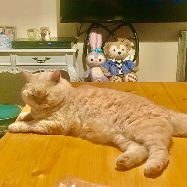 naokoさんの実例写真