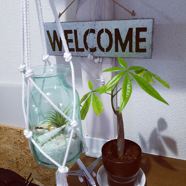 玄関/入り口/ダイソー/ニトリ/DIY/観葉植物のインテリア実例 - 2019-05-22 18:15:53
