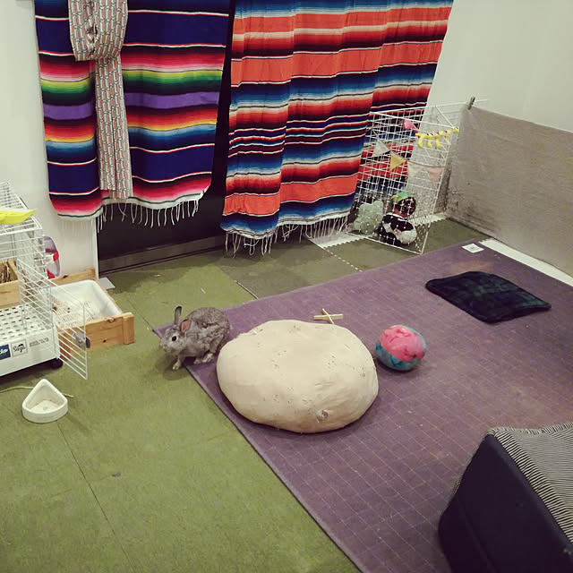 moopeeさんの実例写真