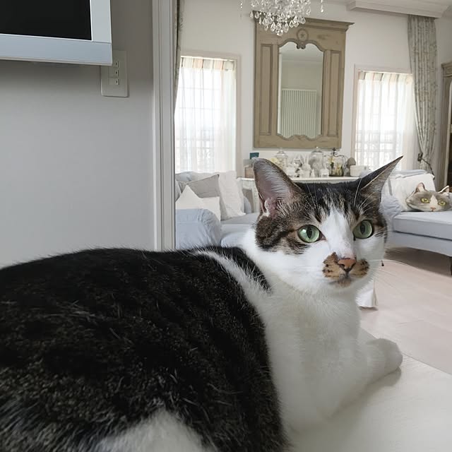 yuchiさんの実例写真