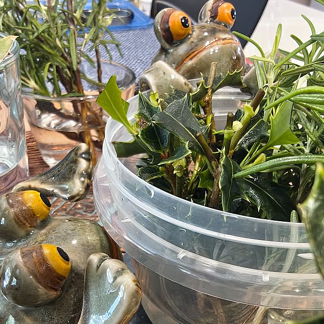 Rubiconさんの実例写真