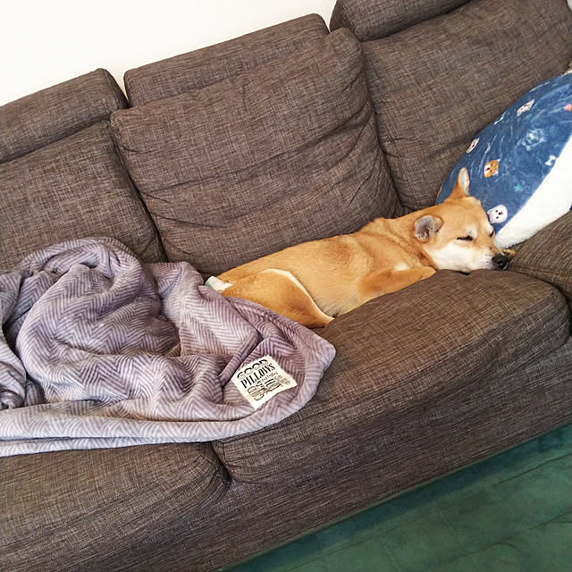 aiさんの実例写真