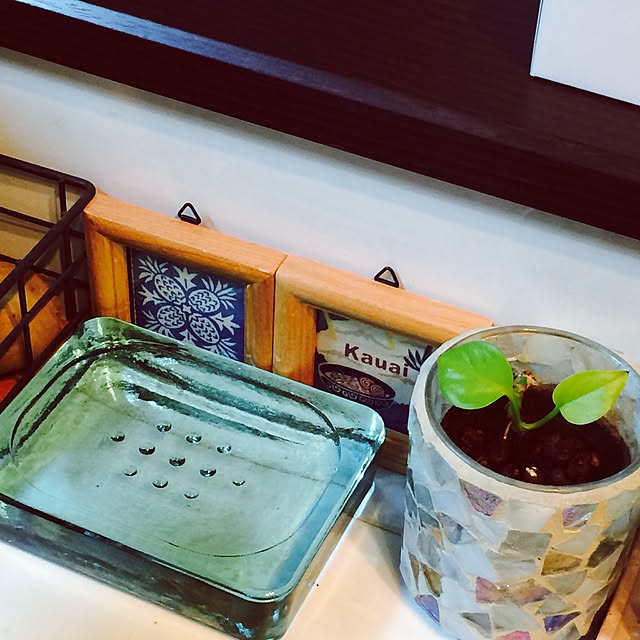 belleさんの実例写真