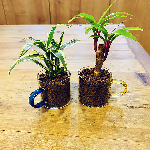 kokomi611さんの部屋