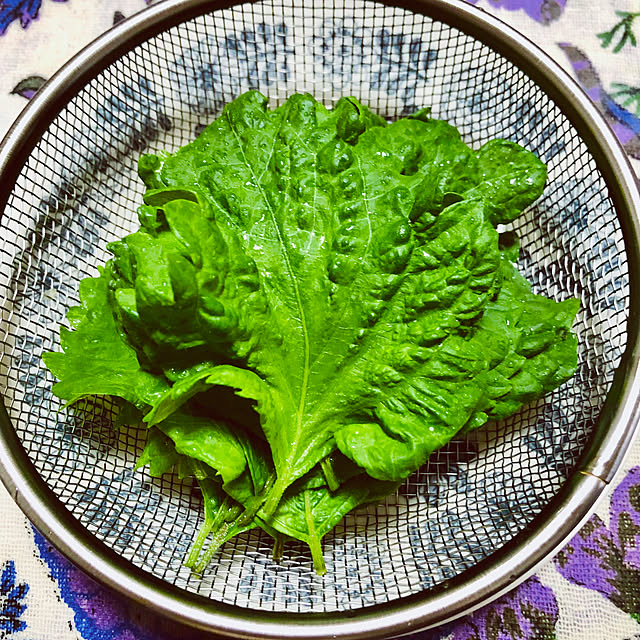 hanachanさんの部屋