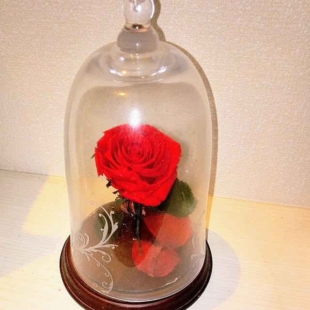 akichanさんの実例写真