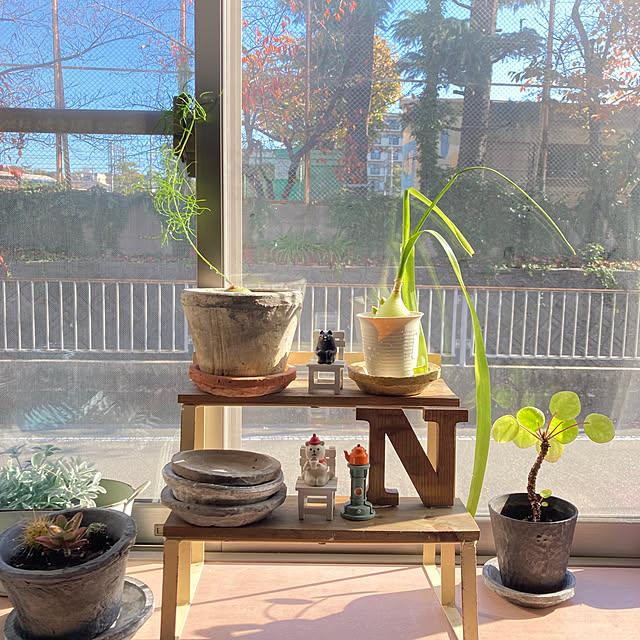 panchanさんの部屋