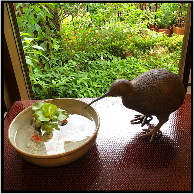 mamizaさんの実例写真