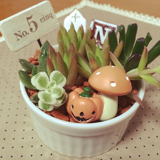 Junkoさんの実例写真