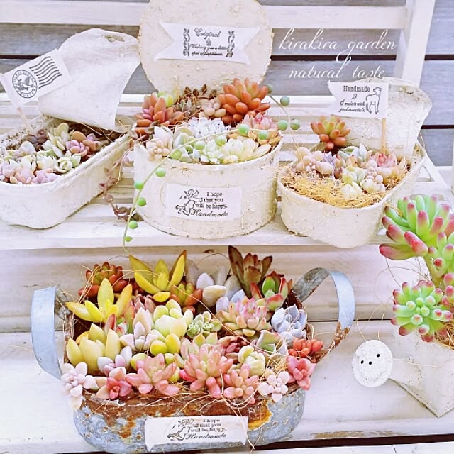 kirakiraさんの実例写真