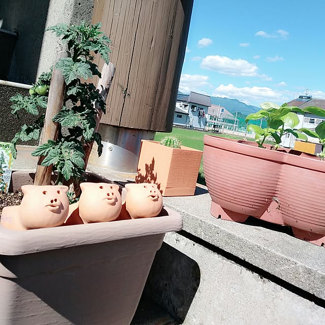 Chomeakiさんの実例写真