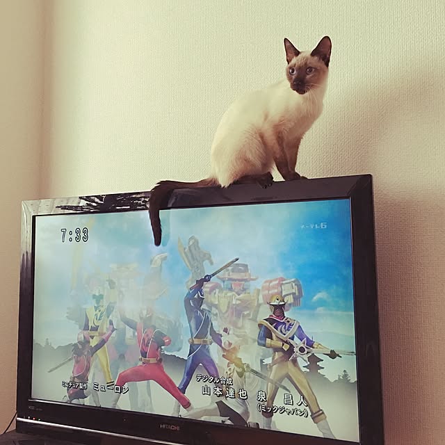 towaさんの実例写真