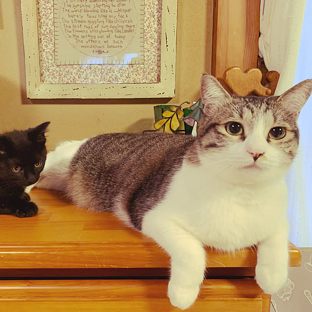 rioさんの実例写真