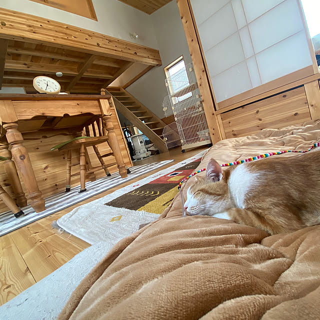 senbei.sakuramochiさんの実例写真