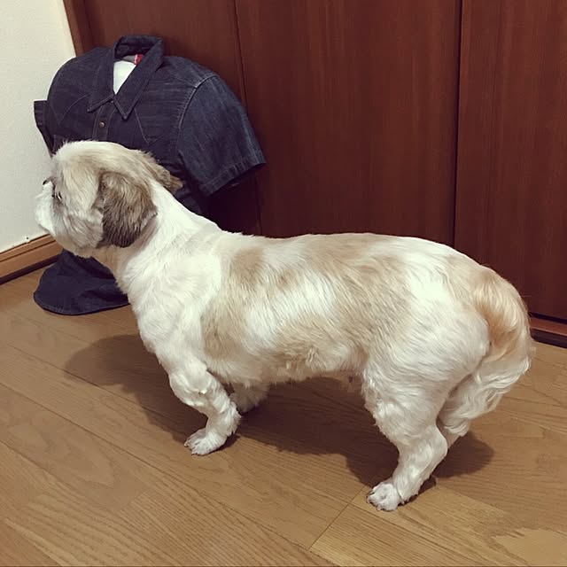 lenkaさんの実例写真