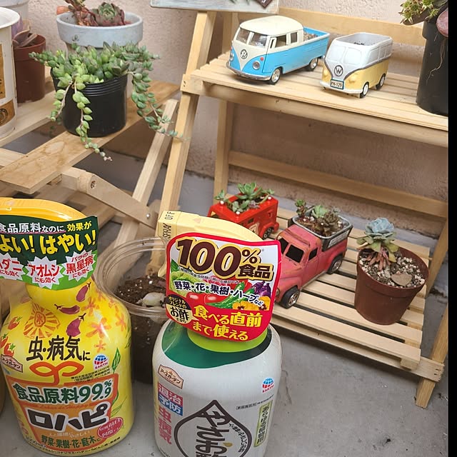 monnさんの実例写真