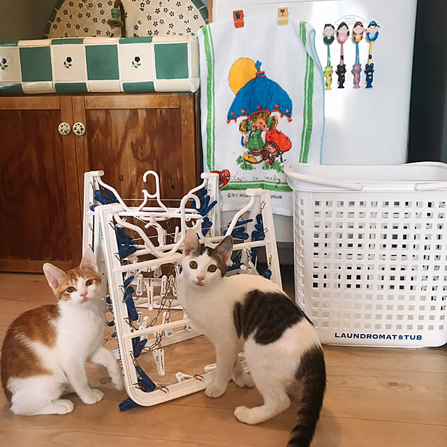 meさんの実例写真