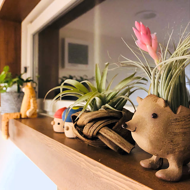Maruさんの実例写真