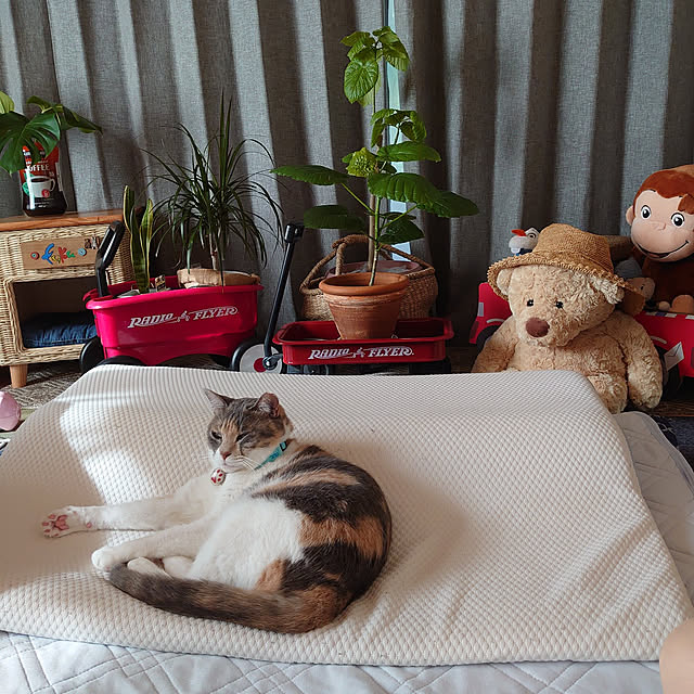 fukuさんの実例写真