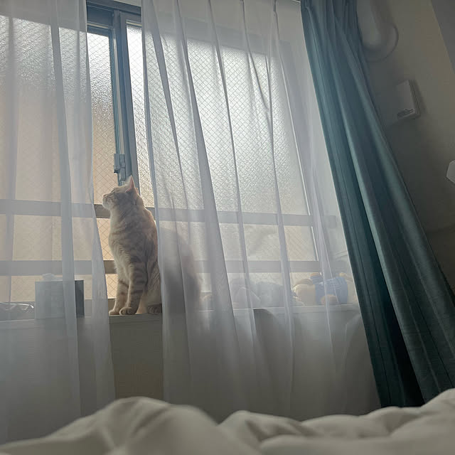 misamaruさんの実例写真