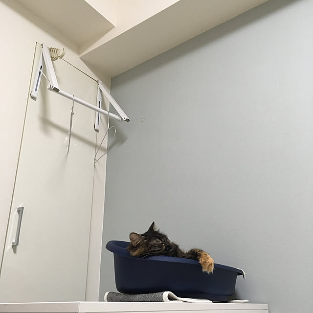 mikomaruさんの実例写真
