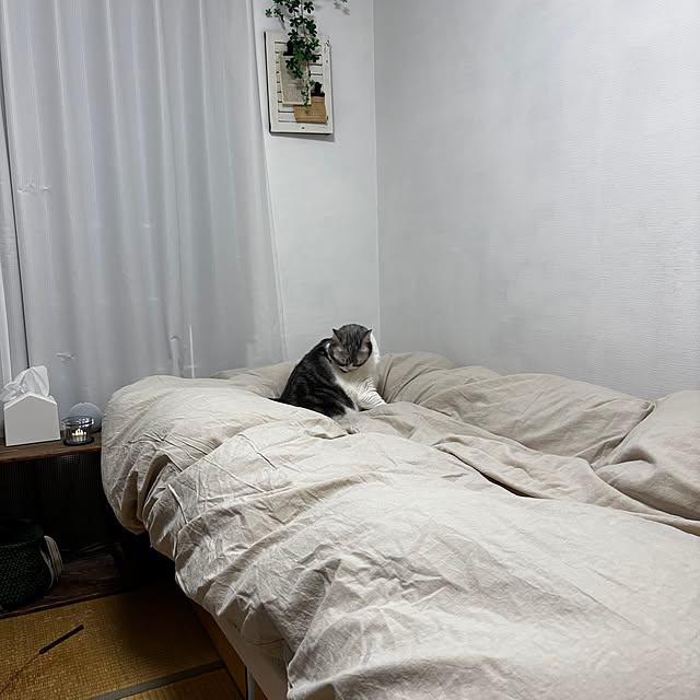 Atelier.mさんの実例写真