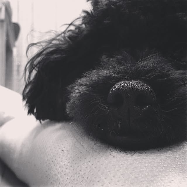 chikaさんの実例写真
