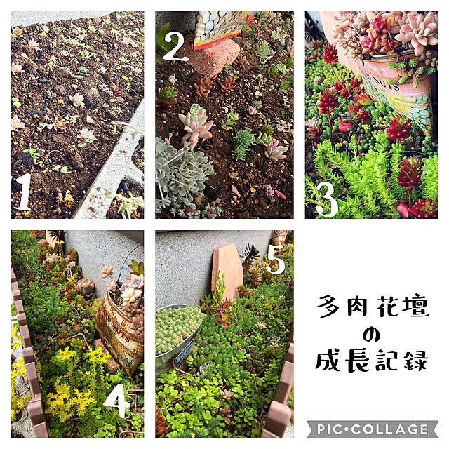 canmilmamaさんの実例写真