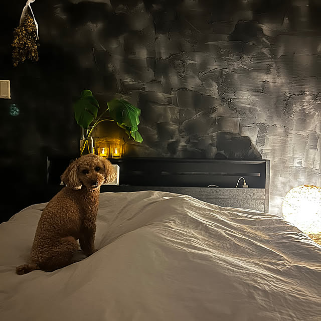 mikamika.n719さんの実例写真